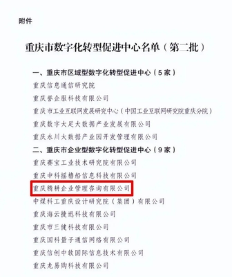 大渡口企业入选重庆市数字化转型促进中心名单 科技信息咨询服务助力产业升级